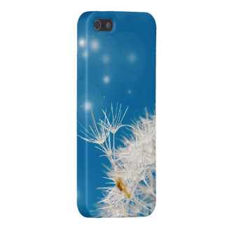 dandelion cover