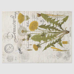 Dandelion Decoupage Tissue Sheet
