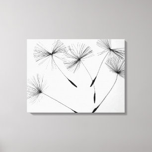 Dandelion Drawing Canvas Print