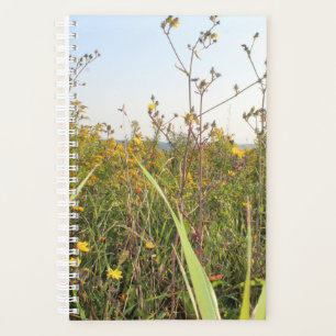 Dandelion Field Bokeh  Planner