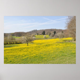 Dandelion fields poster
