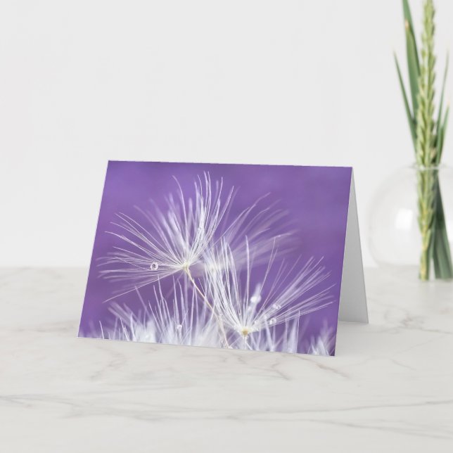 Dandelion Florets Card (Front)