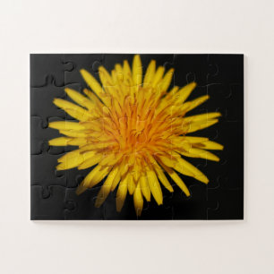 Dandelion Flower 11x14 30pc jpcnm Jigsaw Puzzle