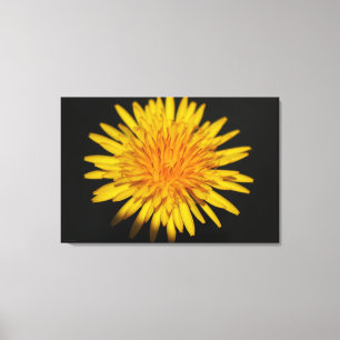 Dandelion Flower 36x24 (90x60cm) waccnm Canvas Print