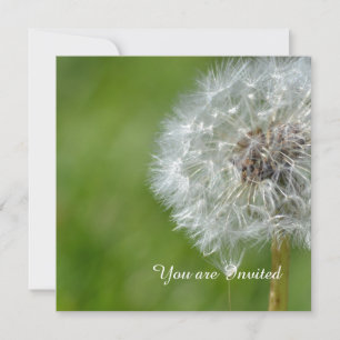 Dandelion Flower Birthday Invitation