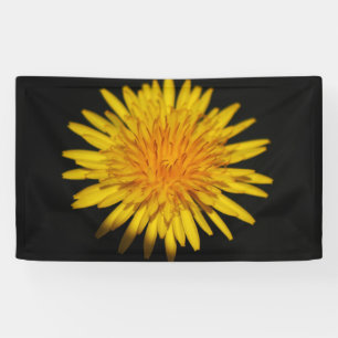 Dandelion Flower bnrcna Banner