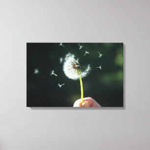 Dandelion flower canvas print
