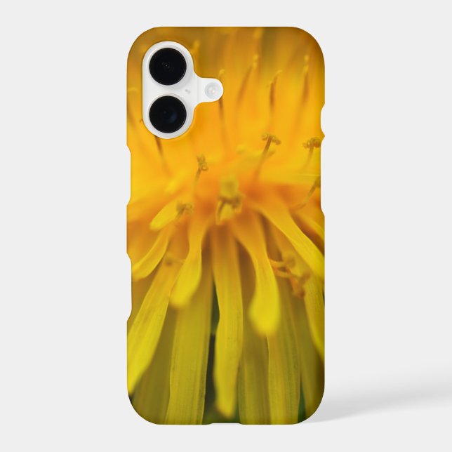Dandelion Flower | Floral and  Macro Photography (Back)