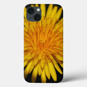 Dandelion Flower iphcna iPhone 13 Case