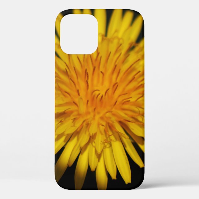Dandelion Flower iphcnm Case-Mate iPhone Case (Back)