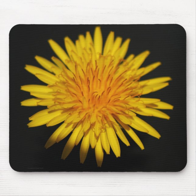 Dandelion Flower mpcna Mouse Mat (Front)