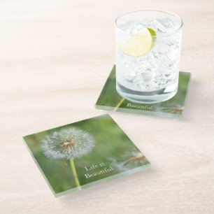Dandelion Flower (photo by me) Glass Coaster
