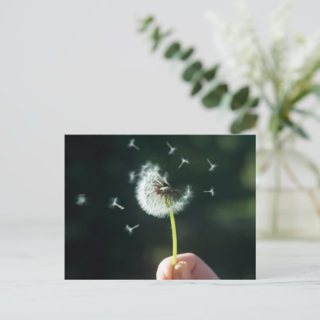 Dandelion flower postcard (Standing Front)