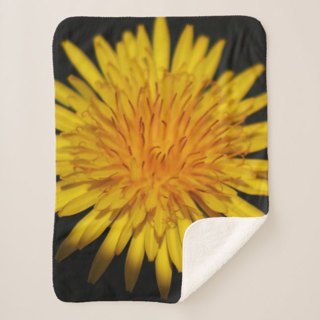 Dandelion Flower sbcna Sherpa Blanket (Front)