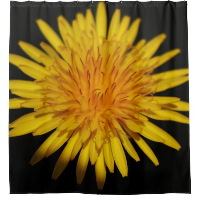 Dandelion Flower sccna Shower Curtain (Front)