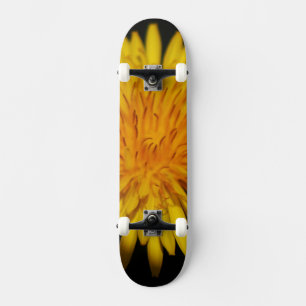 Dandelion Flower sdcna Skateboard