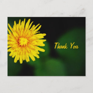 Dandelion Flower Thank You Postcard