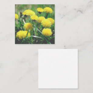 Dandelion Flowers Dandelions Yellow Green Enclosure Card