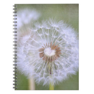 Dandelion Flowers Notebook