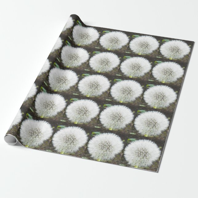DANDELION FLUFF Wrapping Paper (Unrolled)