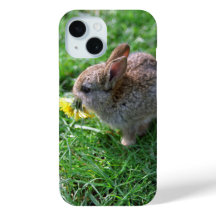 Dandelion for Baby Rabbit iPhone / iPad case