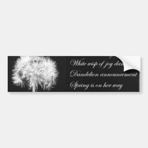 Dandelion Haiku Bumper Sticker