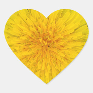 Dandelion Heart Sticker