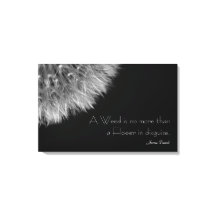 Dandelion in Black & White with Quote