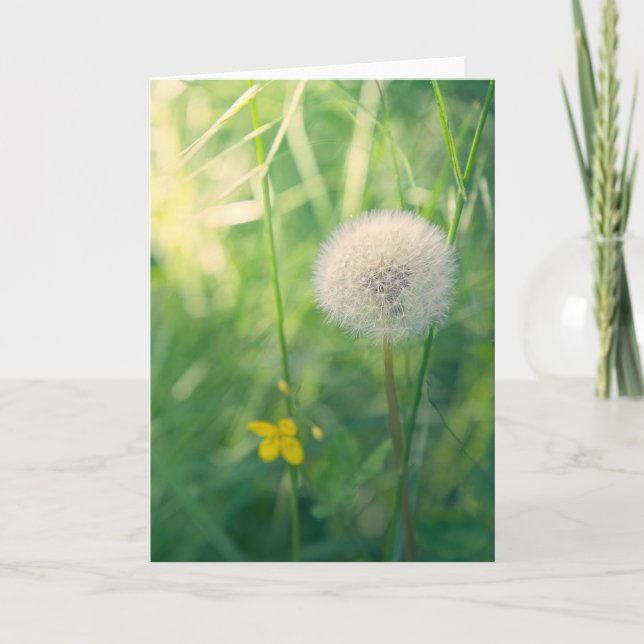 Dandelion in greenery with soft summer light card (Front)