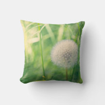 Dandelion in greenery with soft summer light