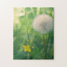 Dandelion in greenery with soft summer light