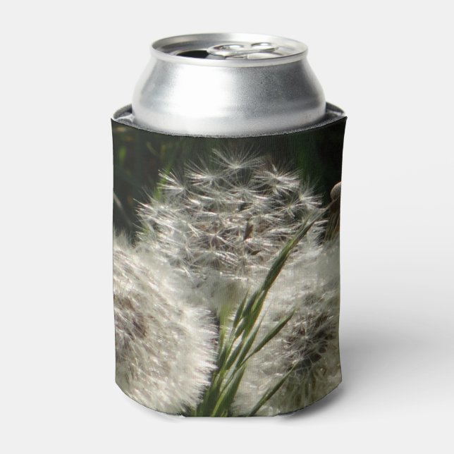 Dandelion in light can cooler (Can Front)
