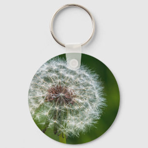 Dandelion In The Light Key Ring
