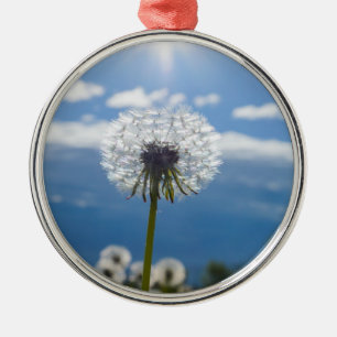 Dandelion In The Light Metal Tree Decoration
