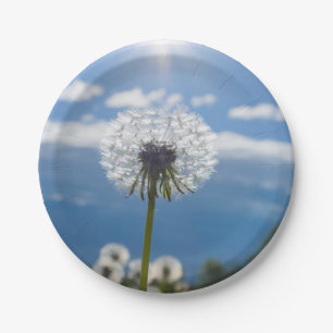Dandelion In The Light Paper Plate
