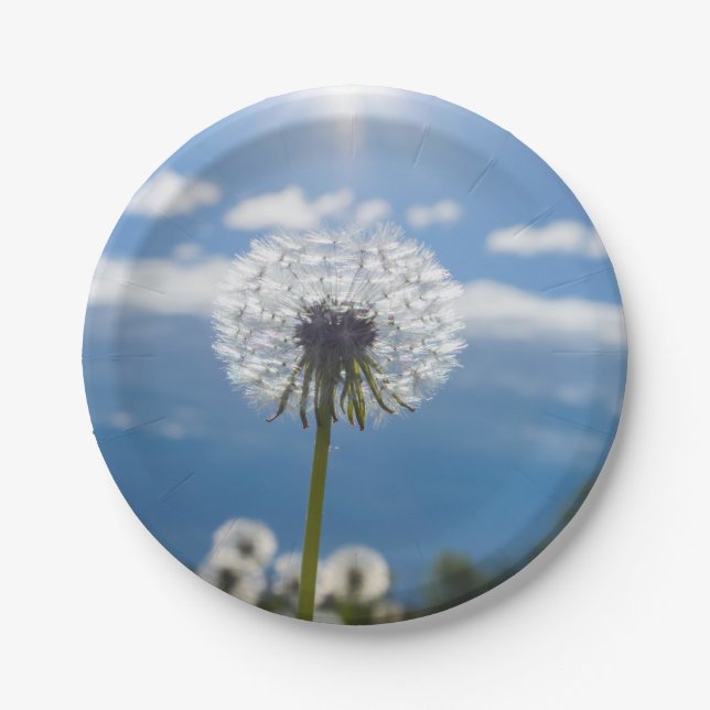 Dandelion In The Light Paper Plate (Front)