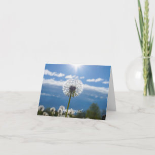 Dandelion In The Light Thank You Card