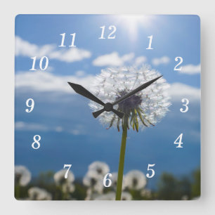 Dandelion In The Light Wall Clock