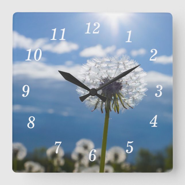 Dandelion In The Light Wall Clock (Front)