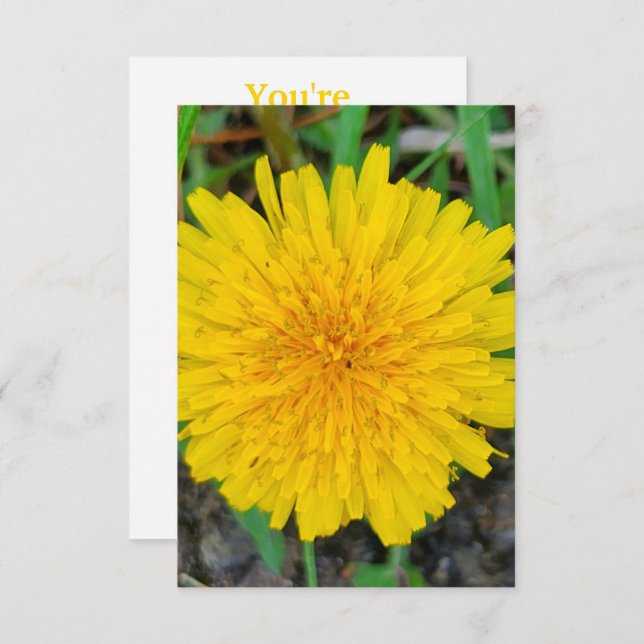 Dandelion Invitation (Front/Back)