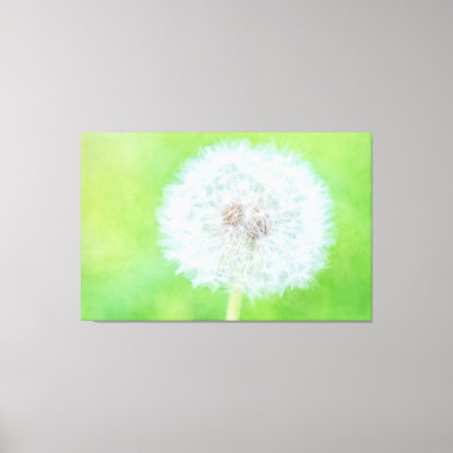 Dandelion - Just Woke Up Beauty Canvas Print (Front)