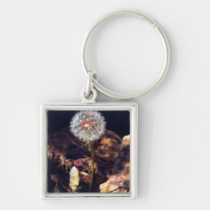 Dandelion Key Ring