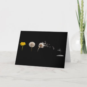 Dandelion Life Cycle Greeting Card