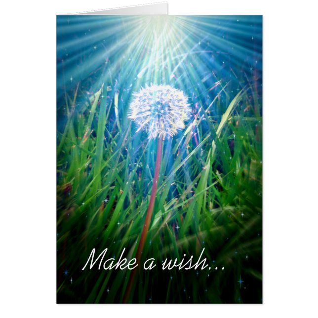 Dandelion Macro (Front)