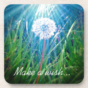 Dandelion Macro Coaster