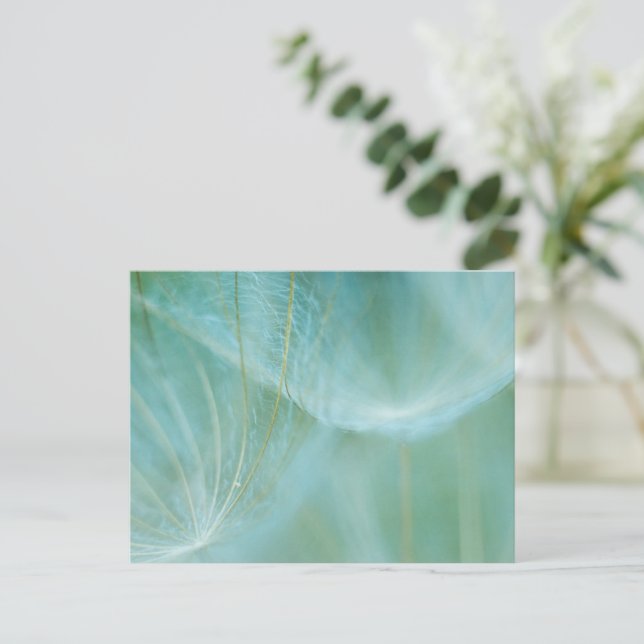 Dandelion macro postcard (Standing Front)