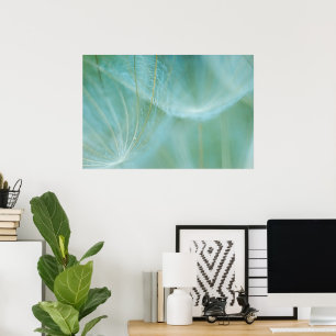 Dandelion macro poster