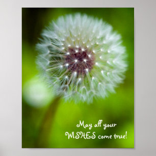 Dandelion "May all your wishes come true!" Poster