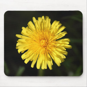 Dandelion Mouse Mat