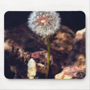 Dandelion Mouse Mat